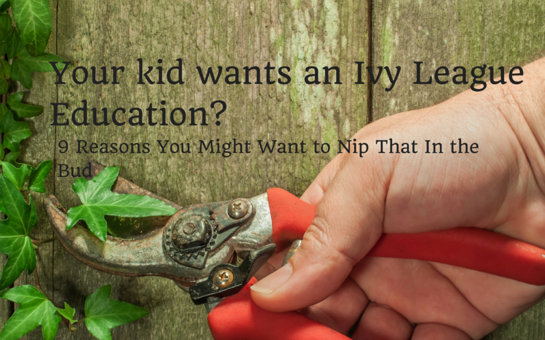 9 Reasons to Talk your Kid OUT of Applying to the Ivy League
