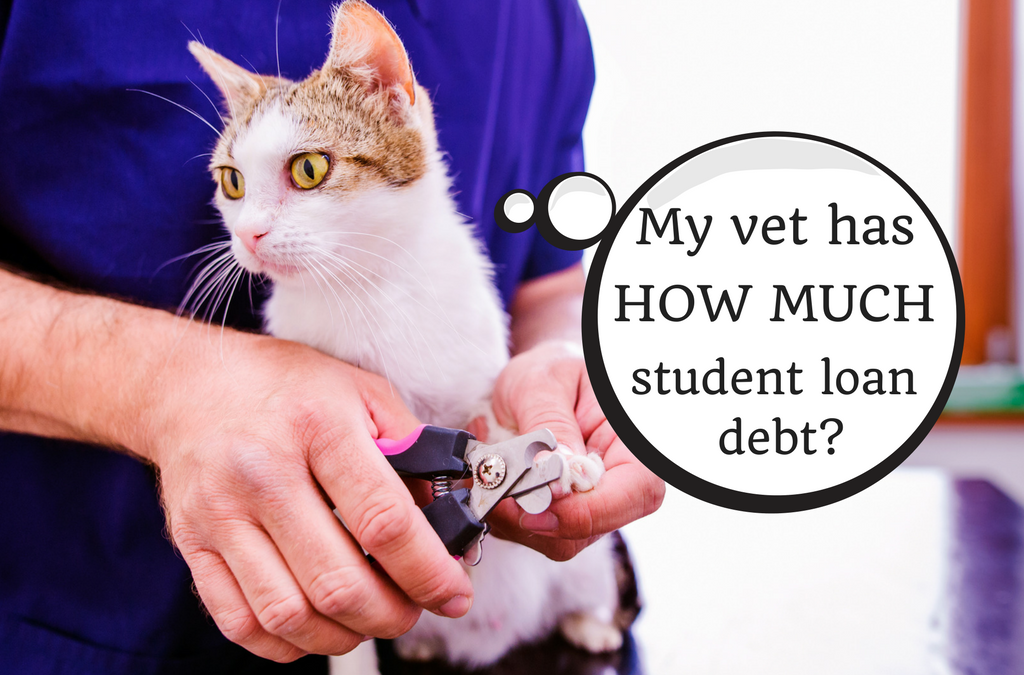 Becoming a Veterinarian—is it a Sound Financial Decision?