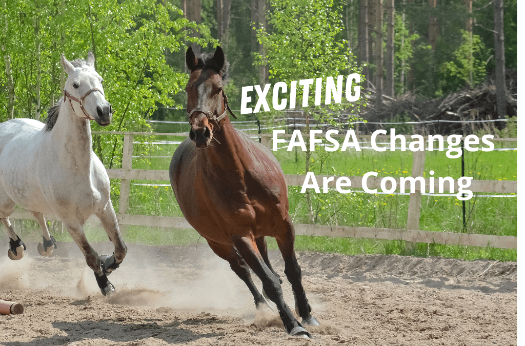 Exciting FAFSA Changes Coming in 2022! I’m On It!