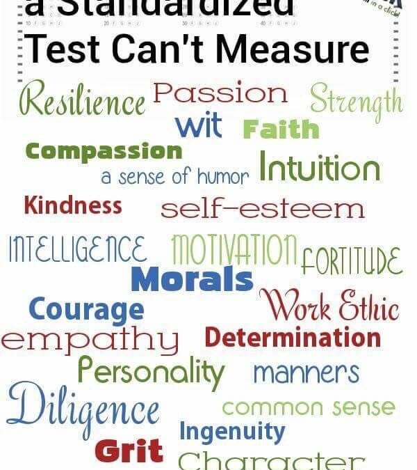 30 Things a Standardized Test Can’t Measure